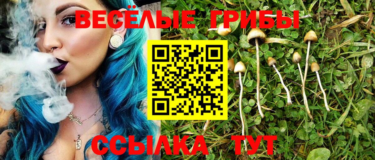 Реутов  Псилоцибиновые грибы прущие грибы  Вход с VPN 